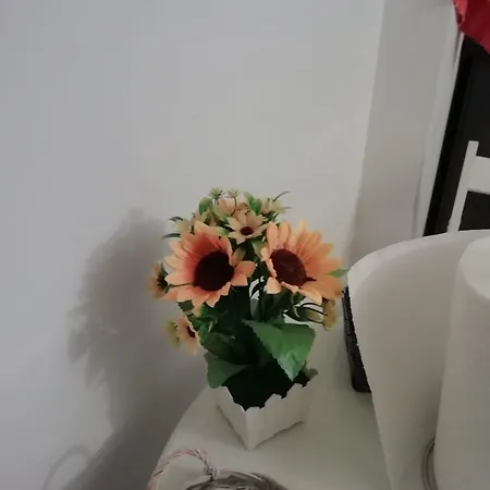 Affection Feriehus Bologna